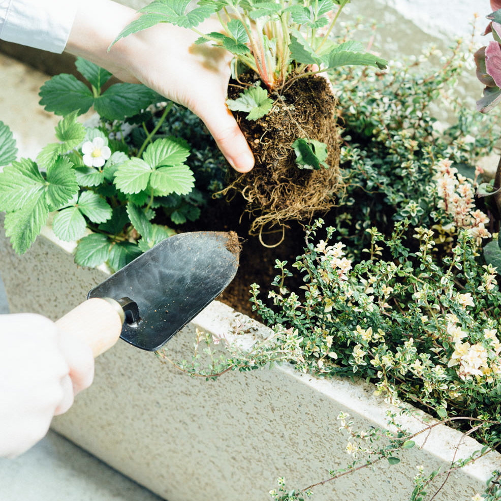 Hand Trowel
