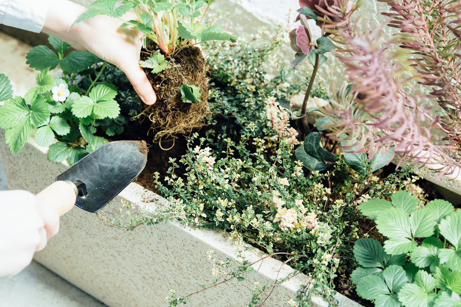 hand-trowel