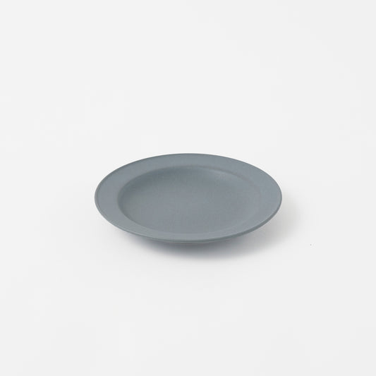 Plate 6"